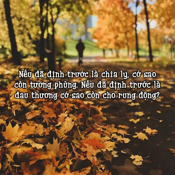 Những câu nói hay về sự chia ly giúp xoa dịu nỗi đau trong tâm hồn