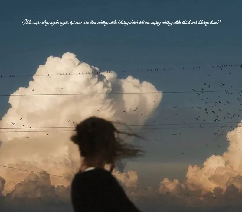 Sự vô thường của cuộc đời giúp con người nhận ra giá trị của lòng trắc ẩn