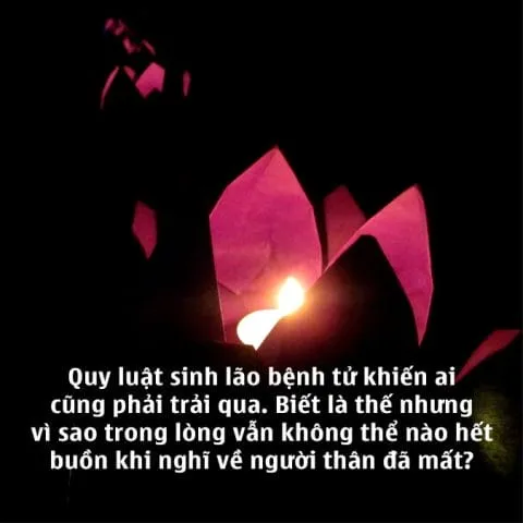 Hình ảnh người vợ kiên cường bước tiếp con đường phía trước mang theo tình yêu của chồng