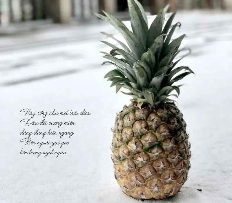 Cánh cửa mở ra một tương lai mới cho những người biết dừng lại đúng lúc