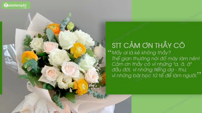 Những lời chúc và stt cảm ơn cô giáo cuối cấp đầy xúc động lưu giữ kỷ niệm học trò