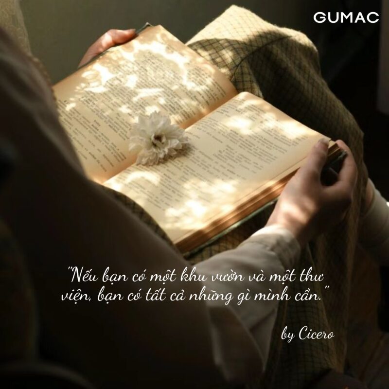 Top Những stt bình minh trên biển Truyền Cảm Hứng Nhất 4 Top Những stt bình minh trên biển Truyền Cảm Hứng Nhất