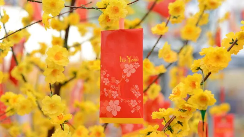 Lời chúc Tết sếp 2026 bằng tiếng Anh