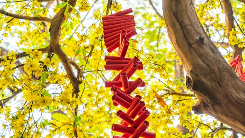 Lời chúc Tết sếp 2026 ngắn gọn