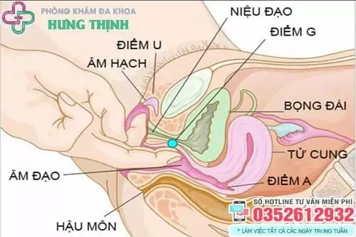 Bản đồ điểm G - Chìa khóa trong cách cho phụ nữ lên đỉnh