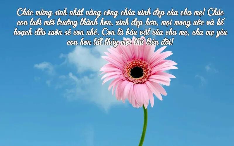 Hình ảnh chúc mừng sinh nhật con gái ngọt ngào dành cho cha mẹ