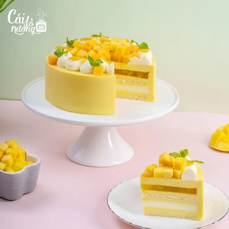 Mẫu bánh Mousse trái cây tươi rực rỡ và tràn đầy năng lượng