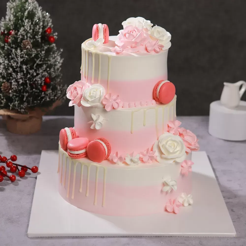 Bánh 2 tầng phong cách ombre chuyển màu từ hồng đậm sang pastel