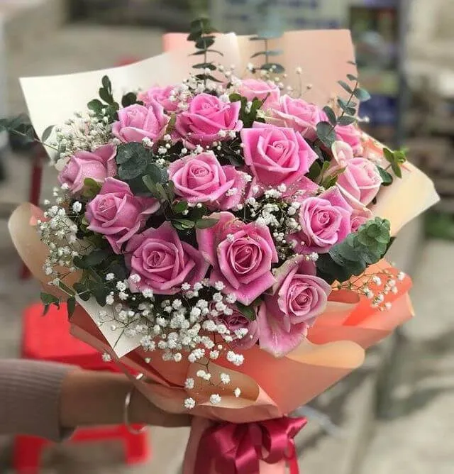 Đóa hồng phấn ngọt ngào tựa như hơi thở nhẹ nhàng của mùa xuân