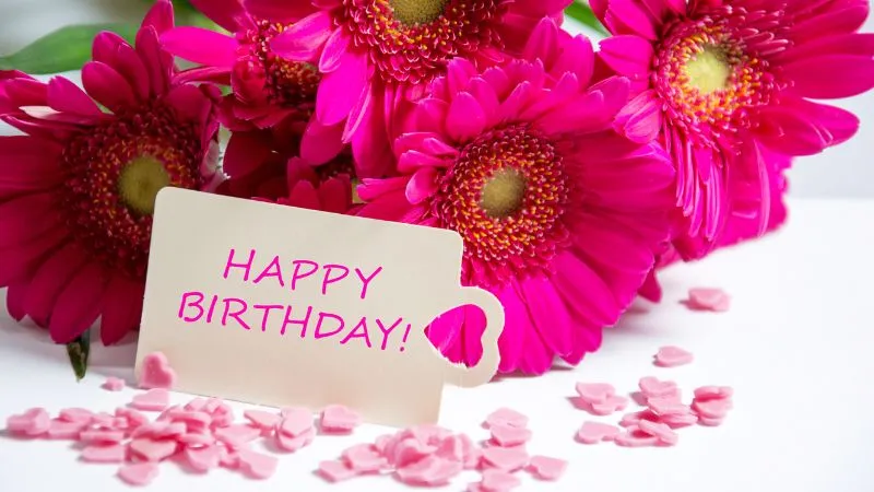 Mẫu thiệp sinh nhật lãng mạn