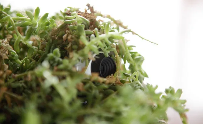 Kiểm tra kỹ các vật dụng trang trí để tránh bị quay lén