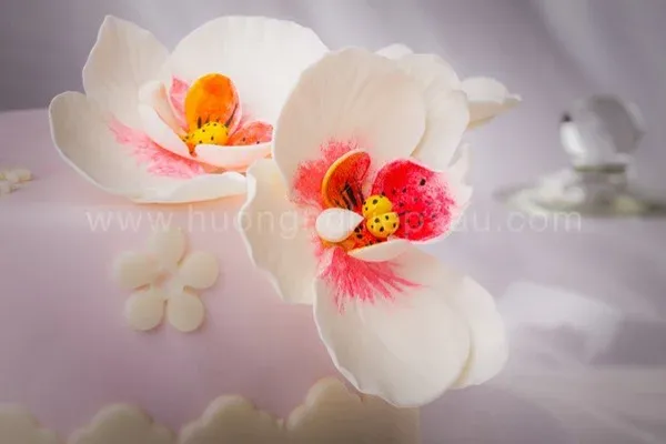 Chuyên gia bánh kem chỉ dẫn bài bản từng bước