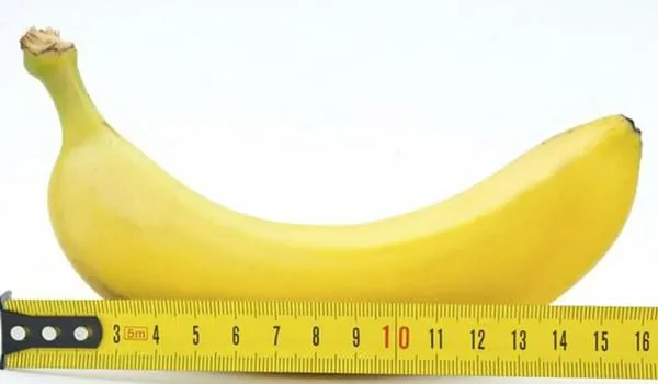 Khảo sát hình dáng dương vật và thách thức trong việc xác định tiêu chuẩn tại Việt Nam năm 2026