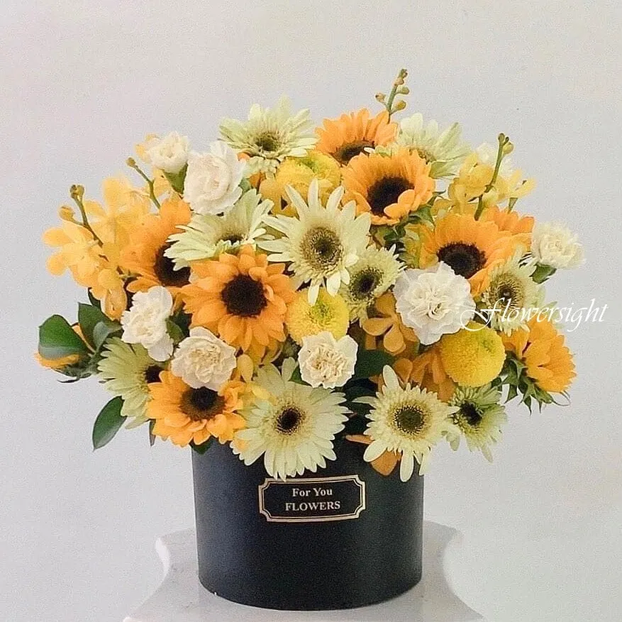 Hộp hoa hướng dương