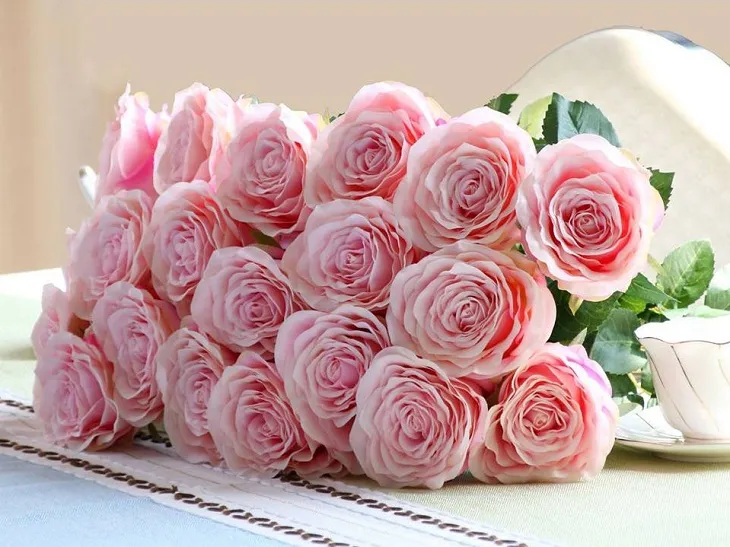 Sắc hồng nhẹ nhàng của hoa hồng biểu tượng cho sự lãng mạn