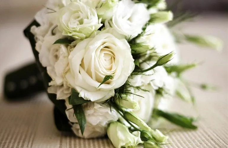 Hoa hồng trắng thanh khiết chứng nhân cho tình yêu dịu dàng