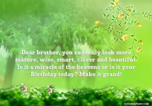Thiệp mừng sinh nhật anh trai năm 2026