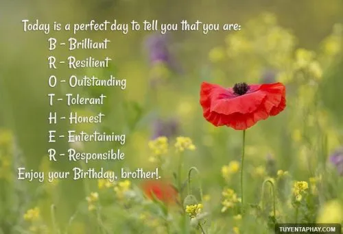 Ảnh sn anh trai cool ngầu