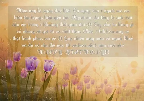 Lời chúc sinh nhật anh trai tiếng Anh ý nghĩa
