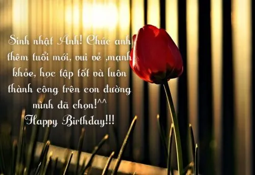 Ảnh chúc mừng sinh nhật anh trai phong cách tối giản