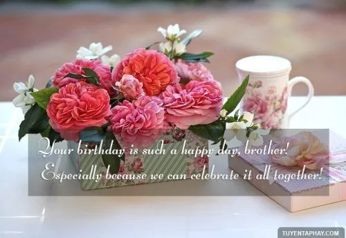 Thiệp chúc mừng sinh nhật anh trai mới nhất