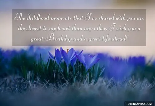 Thiệp chúc sinh nhật anh trai tinh tế