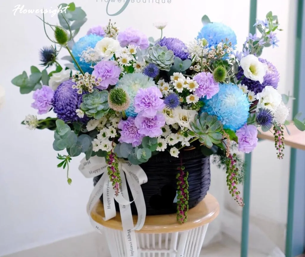 Hoa cẩm chướng cũng là biểu tượng của nhiều quốc gia trên thế giới