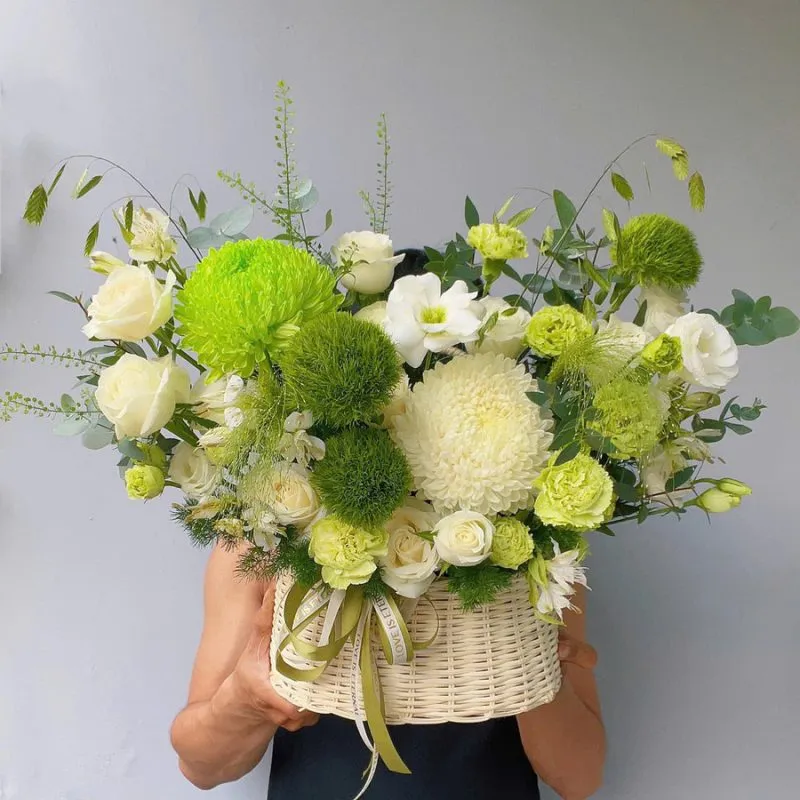 Hoa sen – thanh khiết, cao quý như tấm lòng bao dung của mẹ