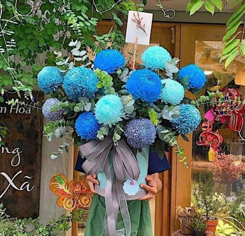 Hoa "Blue Harmony – Hạnh Phúc Viên Mãn" với sắc xanh độc đáo