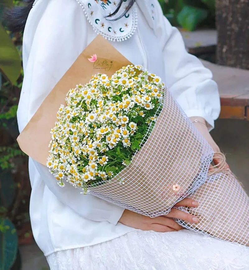 Cúc họa mi mang đến cảm giác bình yên, thanh khiết trong ngày sinh nhật