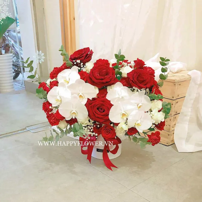 Hộp hoa hồng đỏ kết hợp lan hồ điệp trắng