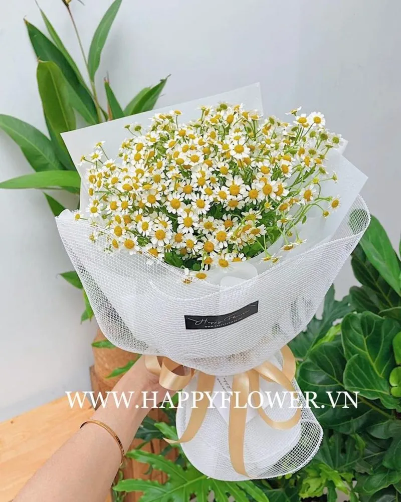 bó hoa sinh nhật cúc tana nhỏ nhắn
