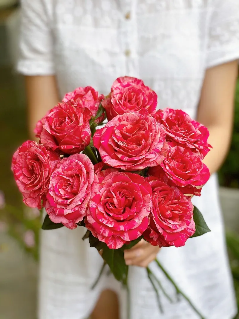 bó hoa sinh nhật hồng đỏ nhập khẩu