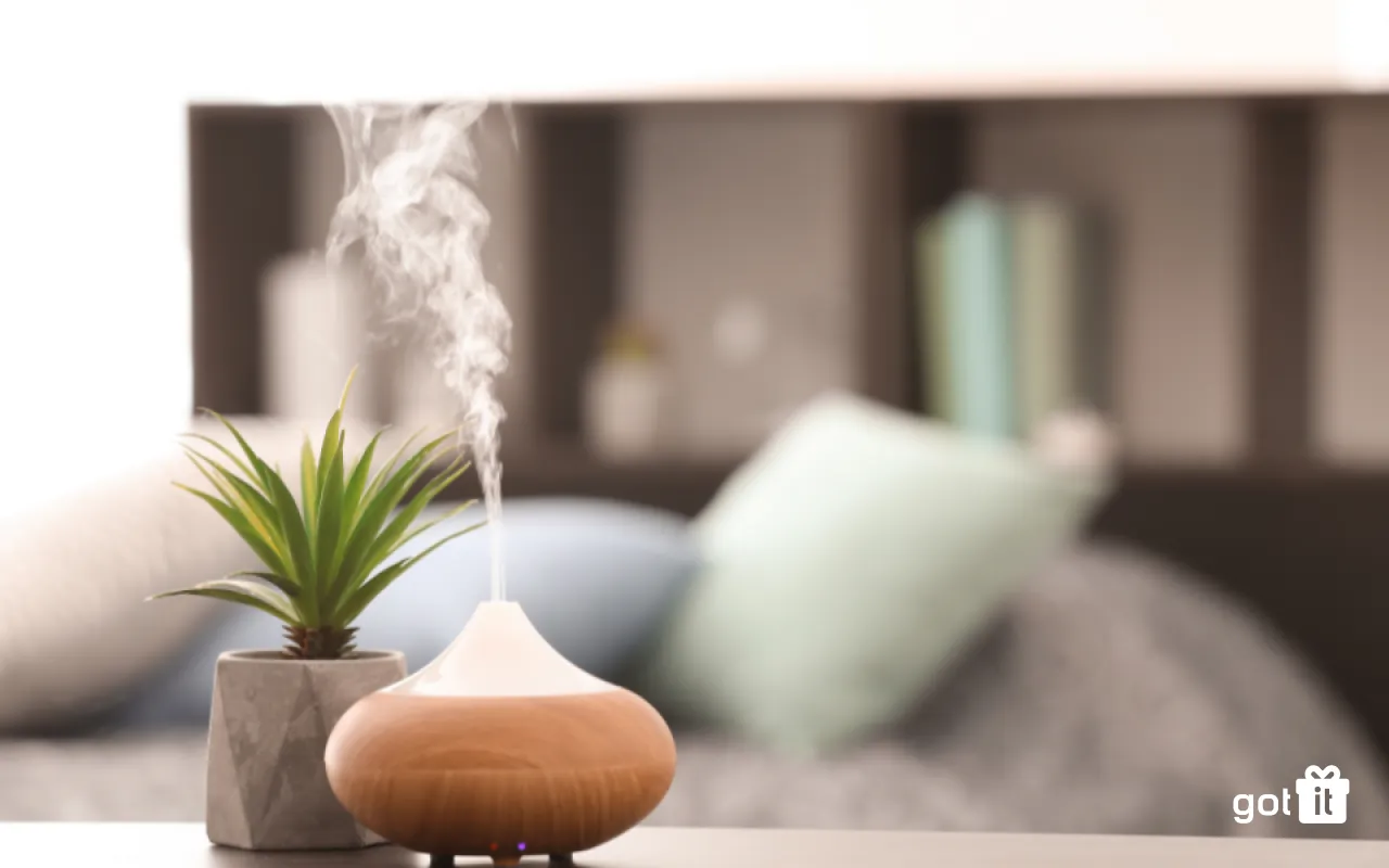 Làm mát cuộc sống với máy phun sương tặng sinh nhật bạn thân