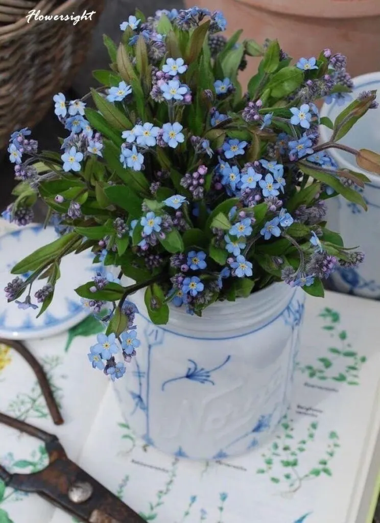 Lẵng hoa lưu ly màu tím tặng sinh nhật tinh tế