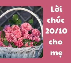 Lời chúc 20/10 cho mẹ đong đầy tình cảm nhất