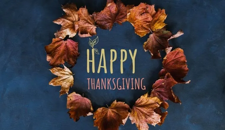 Việc tích lũy vốn từ vựng giúp bạn gửi gắm lời chúc mừng lễ tạ ơn trọn vẹn và chuyên nghiệp hơn tới người thân. (Ảnh: Sưu tầm internet)