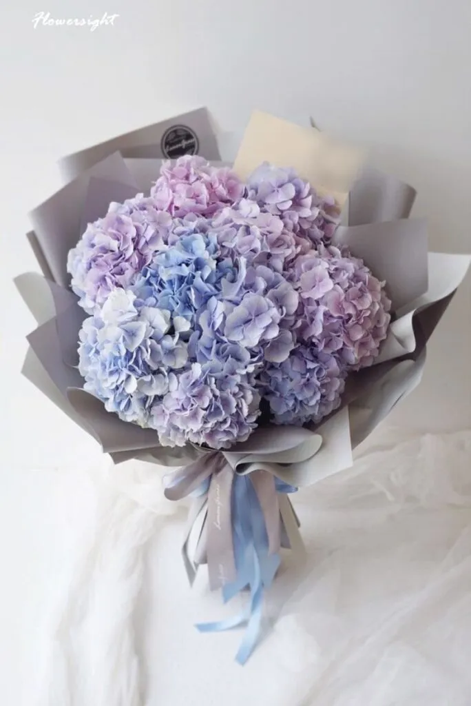 Mẫu hoa cẩm tú cầm tím lãng mạn