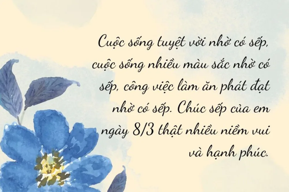 Mẫu lời chúc 8 3 cho đồng nghiệp dùng khi gửi riêng hoặc gửi nhóm Mẫu lời chúc 8 3 cho đồng nghiệp dùng khi gửi riêng hoặc gửi nhóm