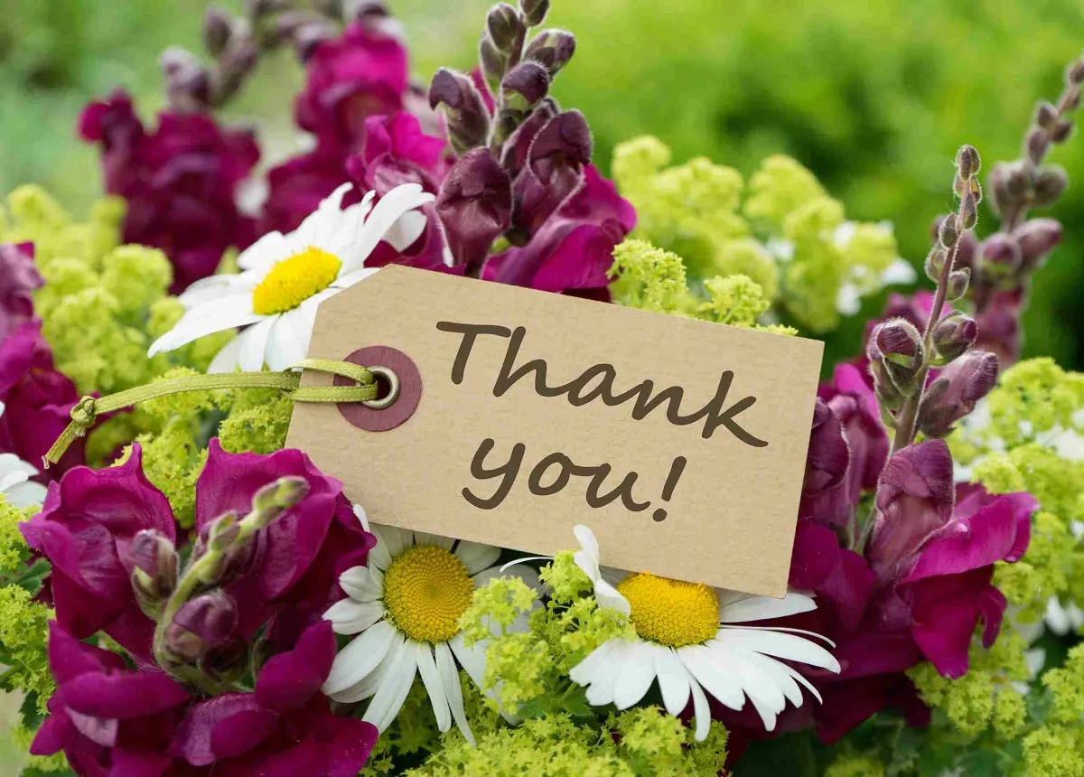 Tổng hợp những lời cảm ơn sinh nhật ý nghĩa