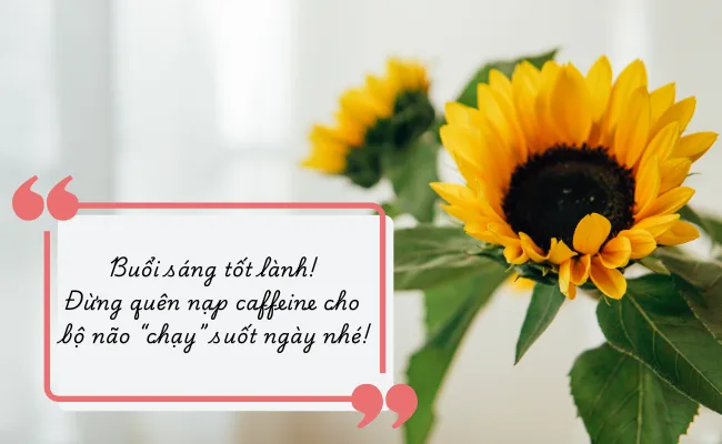 Những Lời Chúc Ngày 8 3 Cho Mẹ Hay, Tinh Tế Và Dễ Chạm Tim Năm 2026 5 Những lời chúc ngày 8 3 cho mẹ theo từng hoàn cảnh – những lời chúc ngày 8 3 cho mẹ