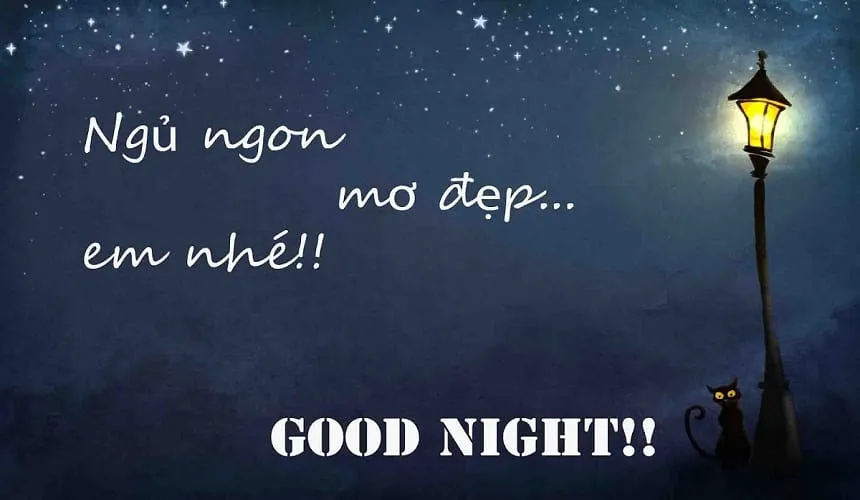 Lời chúc ngủ ngon lãng mạn dành cho vợ