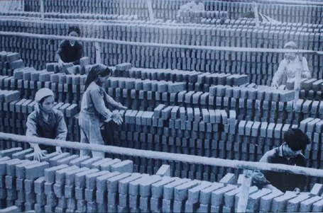 Người phụ nữ Việt Nam miệt mài trong lao động sản xuất nông nghiệp sau chiến tranh