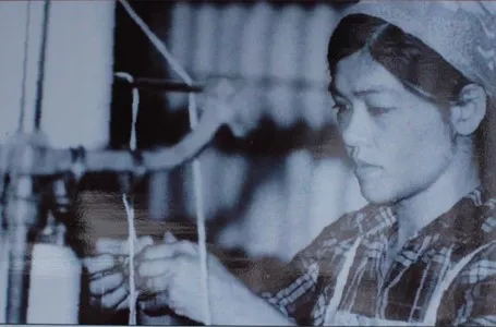 Hình bóng người phụ nữ trên những cánh đồng lúa vàng góp phần bảo đảm an ninh lương thực