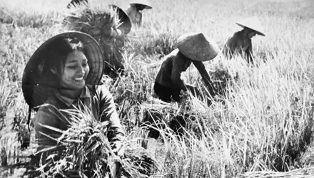 Sự khéo léo của phụ nữ Việt Nam trong các ngành nghề tiểu thủ công nghiệp truyền thống