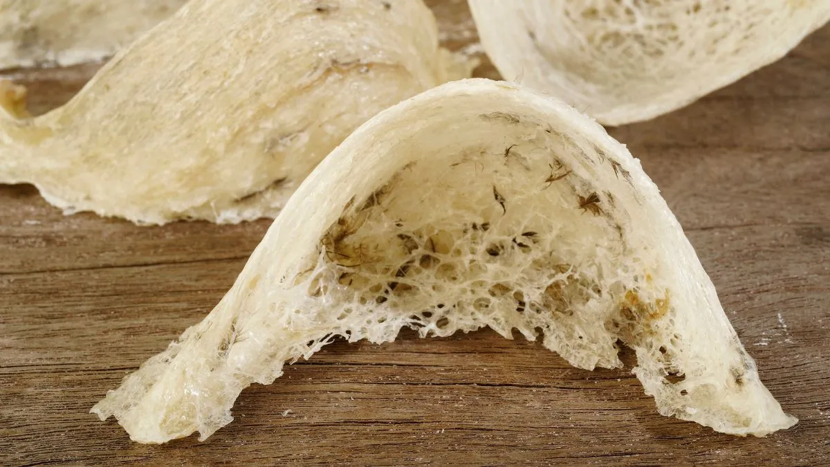 Những món quà nhỏ chứa đựng tình yêu thương lớn giúp ông bà thêm vui vẻ tuổi già