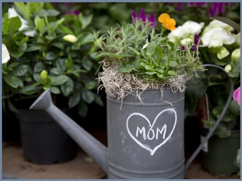 quà sinh nhật cho phụ nữ trung niên rẻ