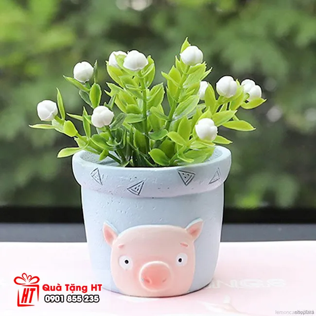 Chậu sen đá để bàn