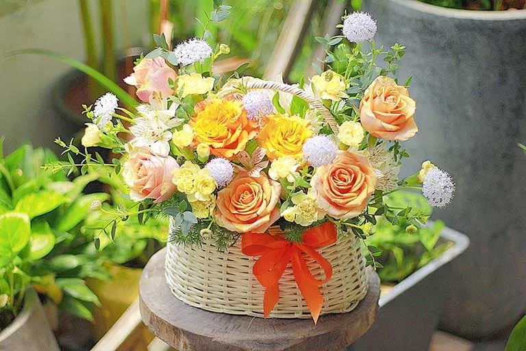 giỏ hoa quà tặng nhà trường