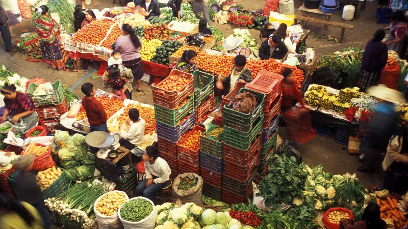 Đặc sản quê hương